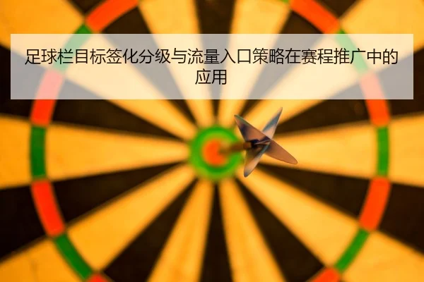 zu-qiu-lan-mu-biao-qian-hua-fen-ji-yu-liu-liang-ru-kou-ce-lve-zai-sai-cheng-tui-guang-zhong-de-ying-yong-2-754.jpg